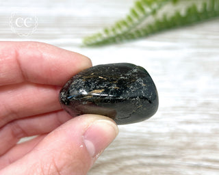 Nuummite Pebble #8