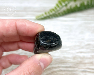 Nuummite Pebble #8