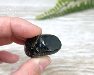 Nuummite Pebble #8