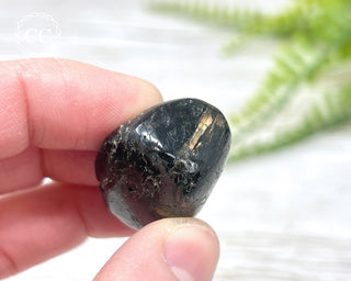 Nuummite Pebble #2