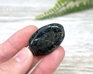 Nuummite Pebble #9