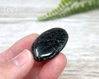 Nuummite Pebble #9