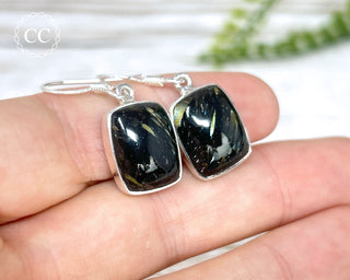 Nuummite Silver Earrings #2