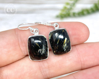 Nuummite Silver Earrings #2