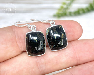 Nuummite Silver Earrings #2