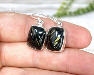 Nuummite Silver Earrings #2