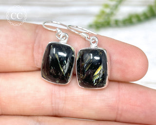 Nuummite Silver Earrings #2