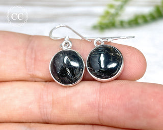 Nuummite Silver Earrings #1