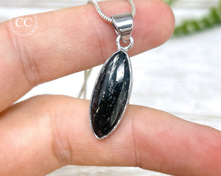 Nuummite Silver Necklace #5