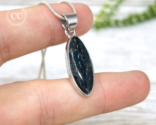 Nuummite Silver Necklace #5