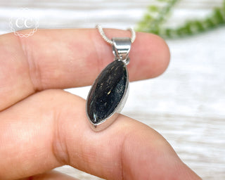 Nuummite Silver Necklace #5