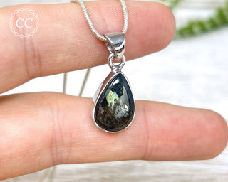 Nuummite Silver Necklace #6