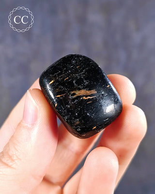 Nuummite Polished pebble in hand on blue background