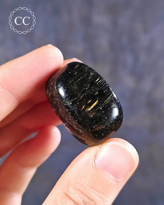Nuummite Polished pebble in hand on blue backgroudn