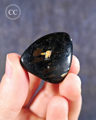 Nuummite Polished pebble in hand on blue background