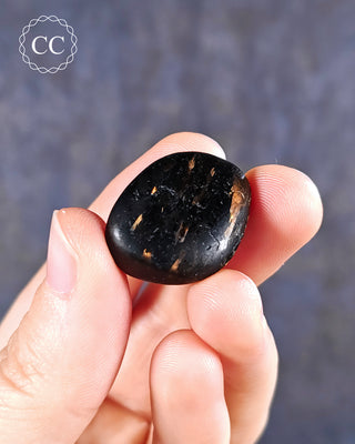 Nuummite Polished pebble in hand on blue background