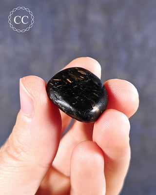 Nuummite Polished #8