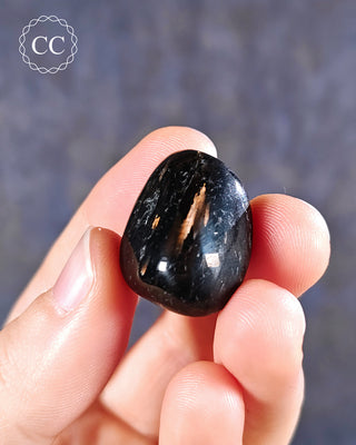 Nuummite Polished pebble in hand on blue background