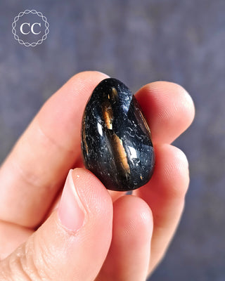 Nuummite Polished pebble in hand on blue background