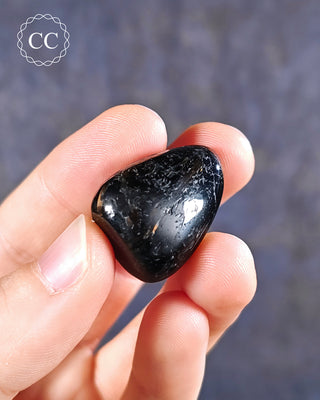 Nuummite Polished #10