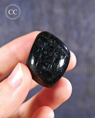 Nuummite Polished #11