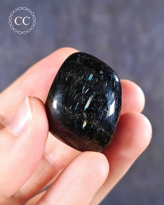 Nuummite Polished pebble in hand on blue background