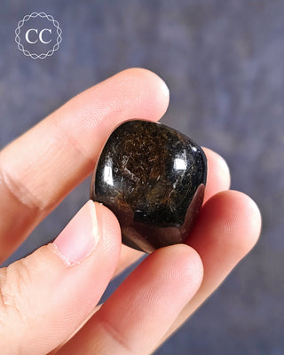 Nuummite Polished #11
