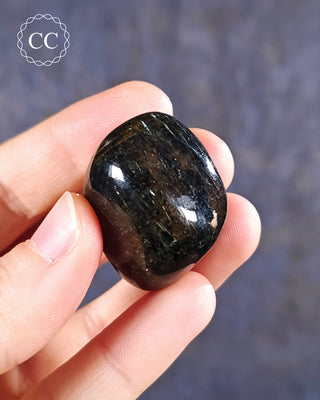 Nuummite Polished #11