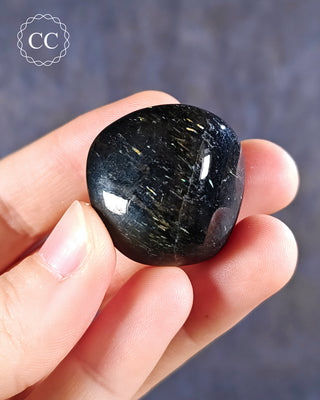 Nuummite Polished pebble in hand on blue background