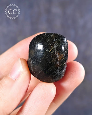 Nuummite Polished pebble in hand on blue background