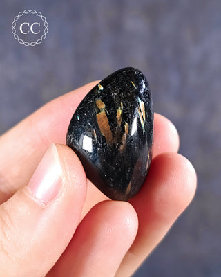 Nuummite Polished pebble in hand on blue background