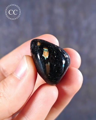 Nuummite Polished #14