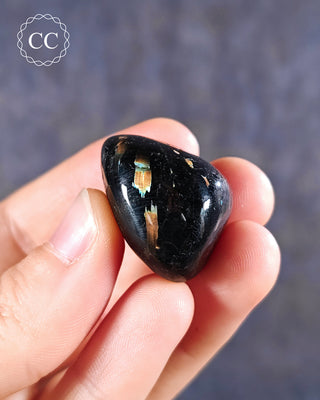 Nuummite Polished #14