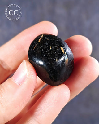 Nuummite Polished #14