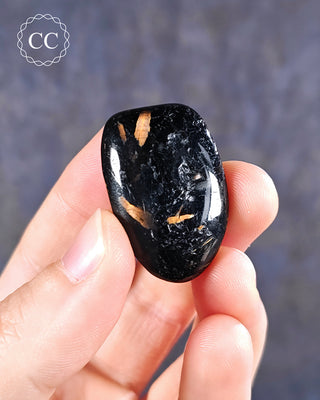 Nuummite Polished pebble in hand on blue background