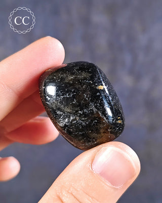 Nuummite Polished #1