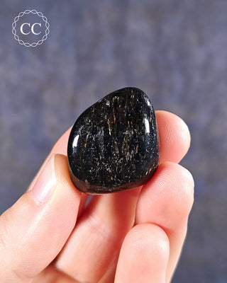 Nuummite Polished pebble in hand on blue background