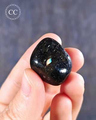 Nuummite Polished #16