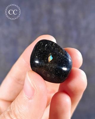 Nuummite Polished #16