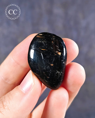 Nuummite Polished pebble in hand on blue background