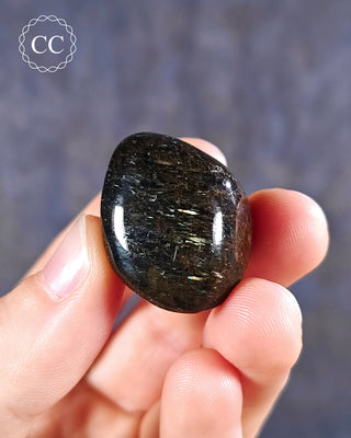 Nuummite Polished pebble in hand on blue background