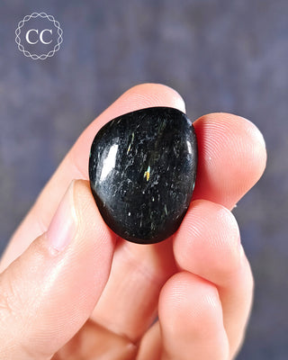 Nuummite Polished pebble in hand on blue background