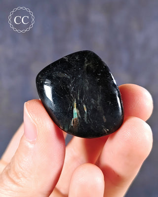 Nuummite Polished pebble in hand on blue backgroudn