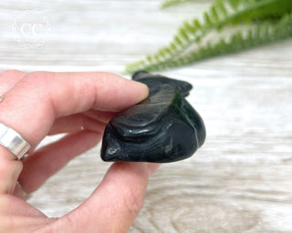 Black Obsidian Water Buffalo #2