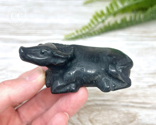 Black Obsidian Water Buffalo #1