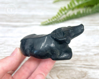 Black Obsidian Water Buffalo #1