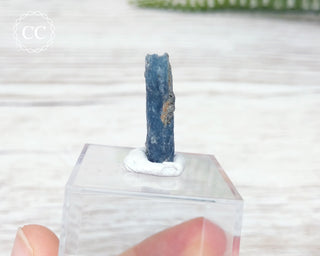 Ocean Blue Kyanite Crystal - Harts Range #2