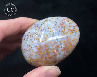 Ocean Jasper Chunky Palm Stone #20