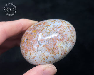 Ocean Jasper Chunky Palm Stone #20