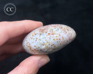 Ocean Jasper Chunky Palm Stone #20